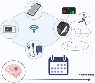 A smart devices based secondary prevention program for cerebrovascular disease patients